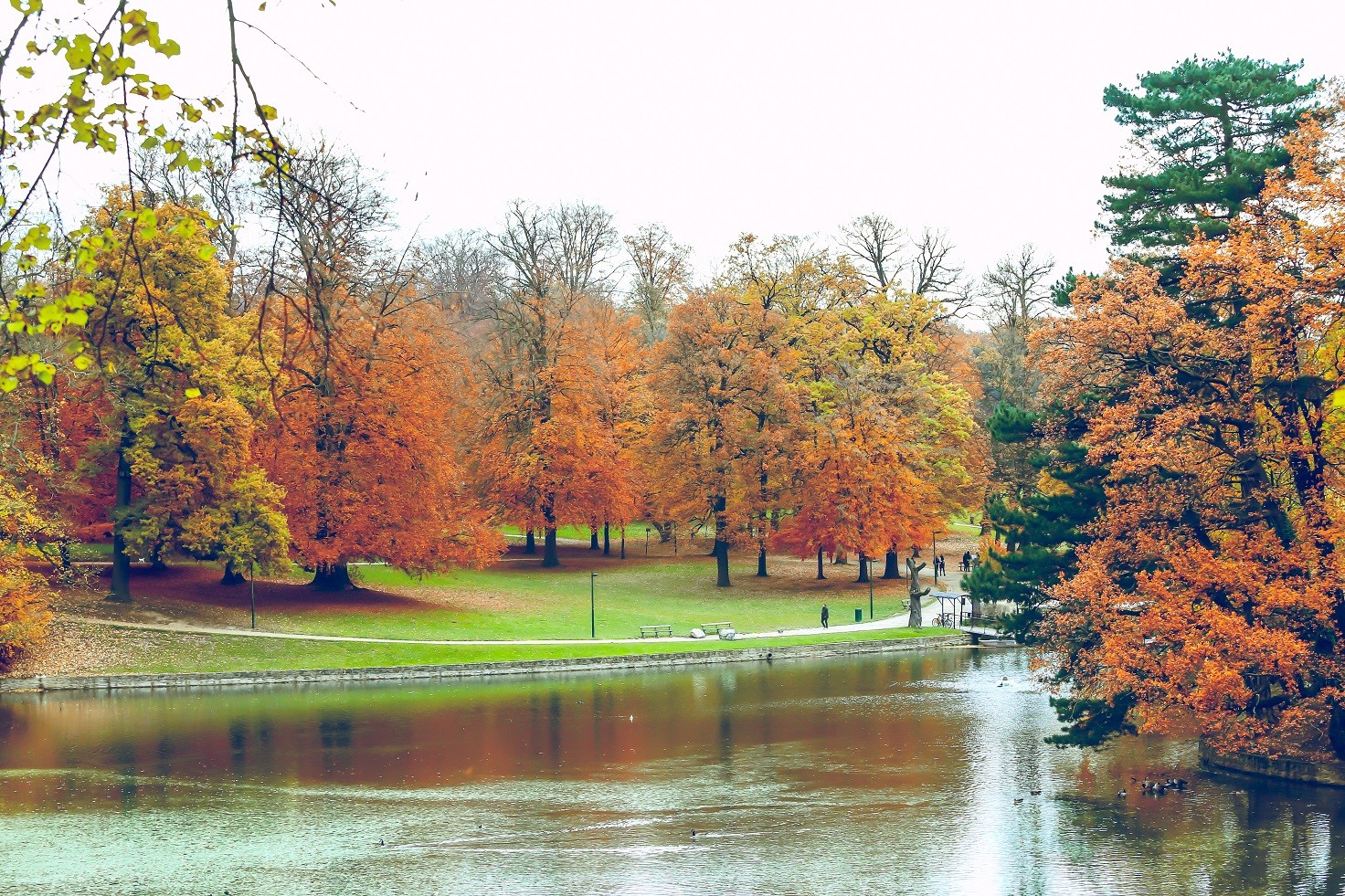 Photo story Magical Bois de la