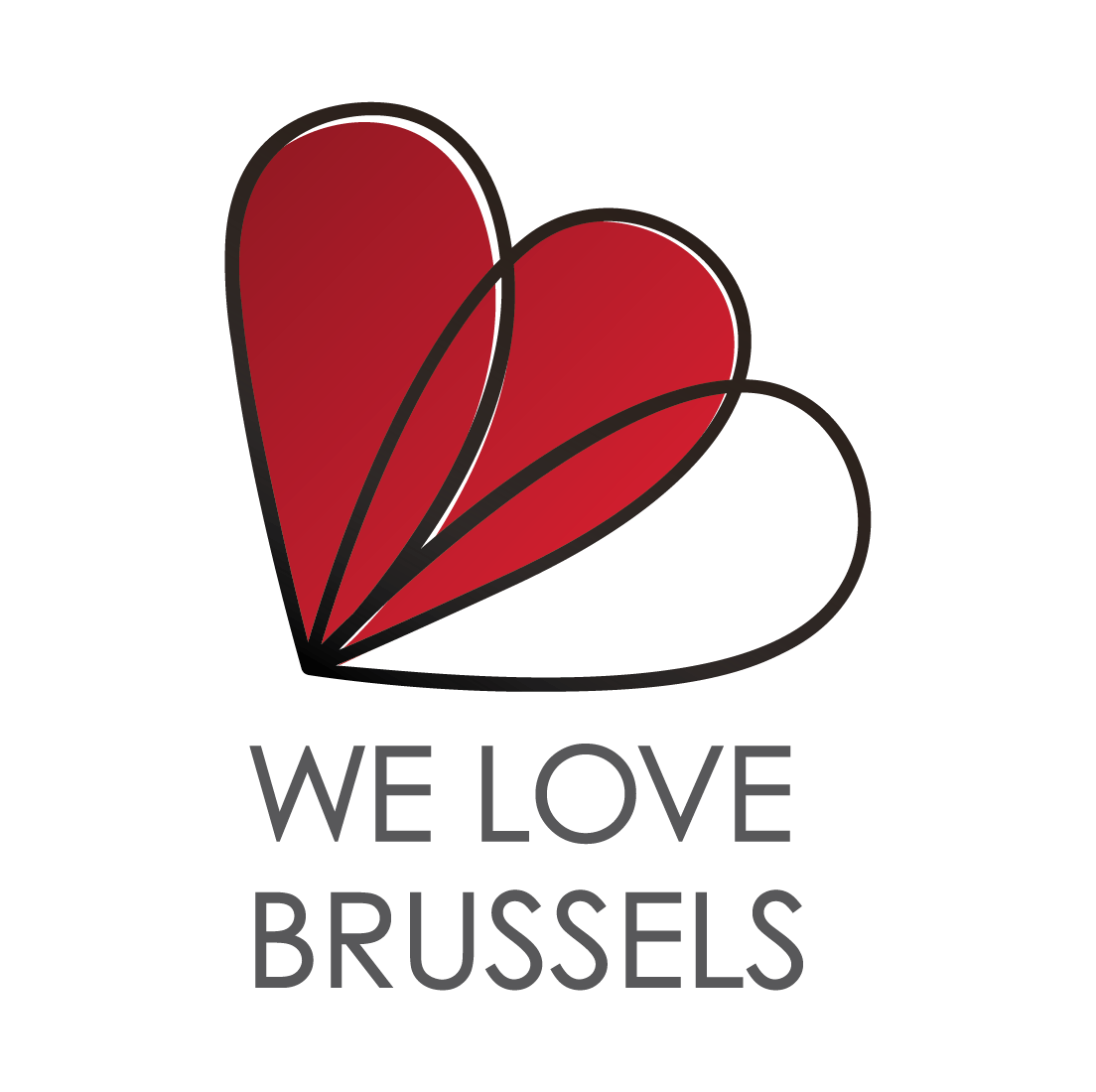 brussels tour and taxi